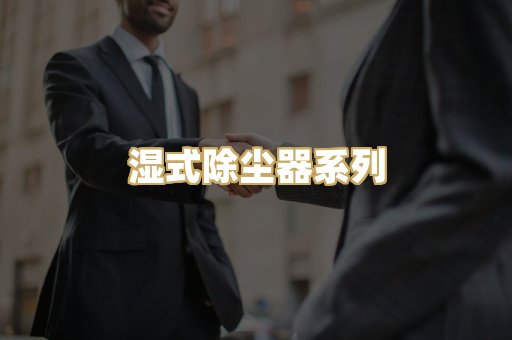 湿式除尘器系列