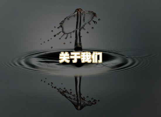 关于我们
